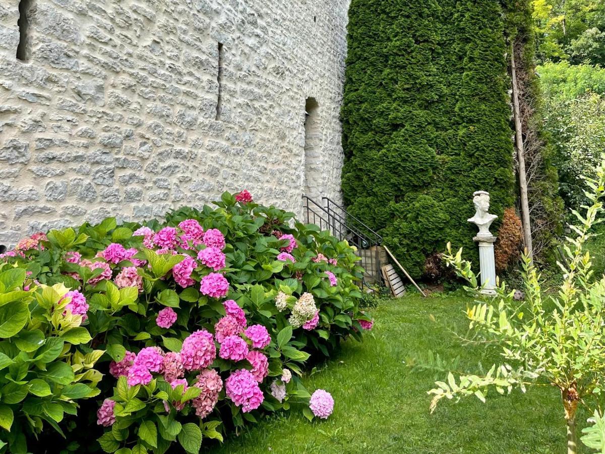 Bed and Breakfast Manoir Saint-Pierre Villersexel Exterior foto